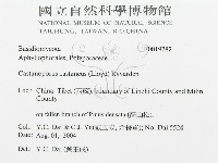 登錄號:F0019782藏品圖，第3張