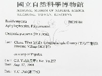 登錄號:F0019784藏品圖，第3張