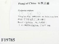 登錄號:F0019785藏品圖，第2張