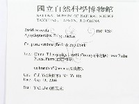 登錄號:F0019785藏品圖，第3張