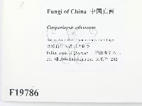 登錄號:F0019786藏品圖，第2張