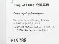 登錄號:F0019788藏品圖，第2張