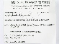 登錄號:F0019788藏品圖，第3張