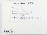 登錄號:F0019789藏品圖，第2張