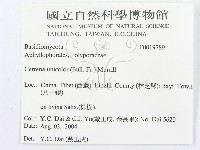 登錄號:F0019789藏品圖，第3張