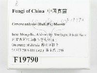 登錄號:F0019790藏品圖，第2張
