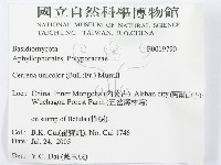 登錄號:F0019790藏品圖，第3張