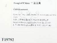 登錄號:F0019792藏品圖，第2張