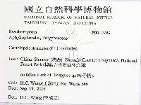 登錄號:F0019793藏品圖，第2張