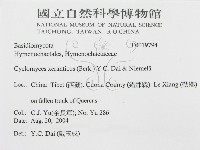 登錄號:F0019794藏品圖，第3張