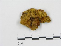 登錄號:F0019794藏品圖，第1張