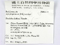 登錄號:F0019795藏品圖，第2張