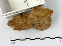 登錄號:F0019795藏品圖，第3張