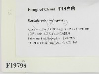 登錄號:F0019798藏品圖，第2張
