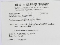 登錄號:F0019798藏品圖，第3張
