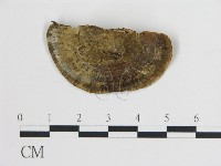 登錄號:F0019798藏品圖，第4張