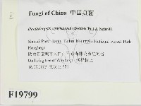 登錄號:F0019799藏品圖，第2張