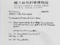 登錄號:F0019799藏品圖，第3張