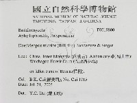登錄號:F0019800藏品圖，第3張