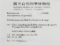 登錄號:F0019801藏品圖，第3張