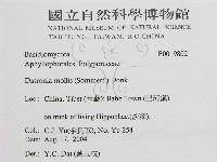 館號:F0019802藏品圖，第3張