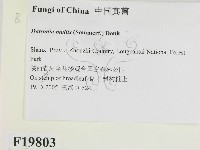 登錄號:F0019803藏品圖，第2張
