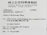 登錄號:F0019803藏品圖，第3張