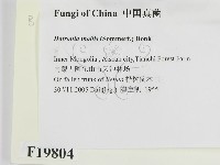 登錄號:F0019804藏品圖，第2張
