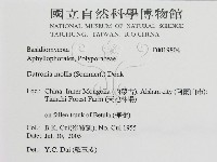 登錄號:F0019804藏品圖，第3張