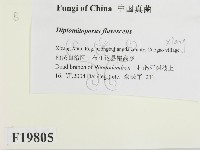 登錄號:F0019805藏品圖，第2張