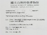 登錄號:F0019805藏品圖，第3張