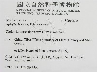登錄號:F0019806藏品圖，第3張
