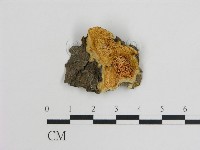 登錄號:F0019806藏品圖，第1張
