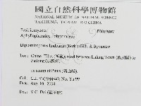 登錄號:F0019807藏品圖，第3張