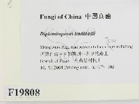 登錄號:F0019808藏品圖，第2張