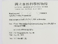 登錄號:F0019808藏品圖，第3張