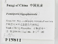 登錄號:F0019811藏品圖，第2張