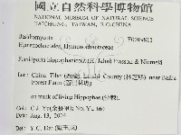 登錄號:F0019811藏品圖，第3張