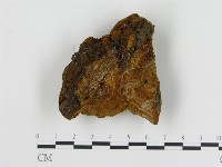 登錄號:F0019811藏品圖，第4張