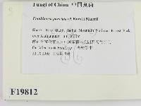 登錄號:F0019812藏品圖，第2張