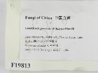 登錄號:F0019813藏品圖，第2張