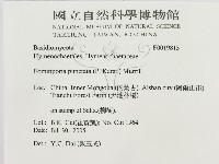 登錄號:F0019813藏品圖，第3張