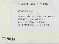 登錄號:F0019814藏品圖，第2張