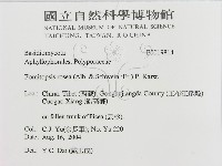 登錄號:F0019814藏品圖，第3張