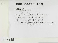 登錄號:F0019815藏品圖，第2張