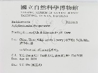 登錄號:F0019815藏品圖，第3張