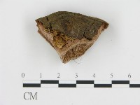 登錄號:F0019815藏品圖，第4張
