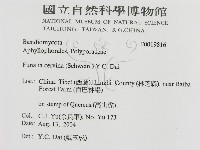 登錄號:F0019816藏品圖，第3張