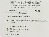 登錄號:F0019817藏品圖，第3張