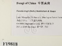 館號:F0019818藏品圖，第2張
